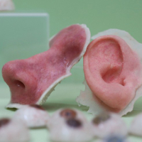 Лидеры на рынке 3D-биопечати