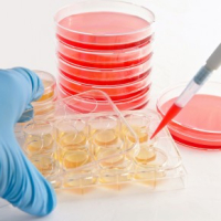 Стволовые клетки в пластической хирургии