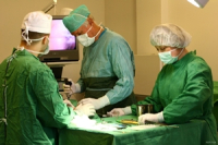 Развитие и перспективы российской эстетической хирургии