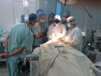 Обучение пластической хирургии