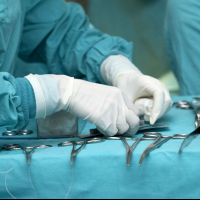 Тренинг по пластической хирургии