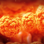 Человеческий жир