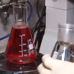 В России впервые создан гель для омоложения