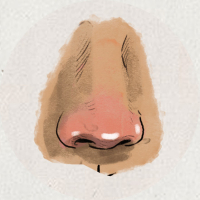 Курносый и вздернутый нос — какой лучше?