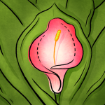 Как сохранить чувствительность после интимной пластики?