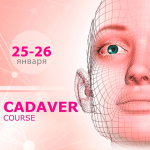 Диссекционный курс по анатомии лица в Екатеринбурге