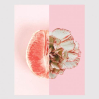 Деликатные проблемы и их решение: интимная пластика