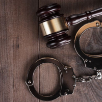 Мошенник из Москвы сделал пластическую операцию