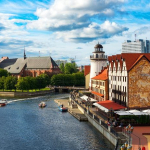 В Калининграде врачи предпочитают работать в эстетической медицине