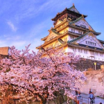 В Японии вырос спрос на пластические операции во время пандемии