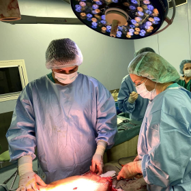 Пластический хирург Дмитрий Рябцев