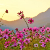 Преимущества пластических операций весной