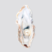 Лабиопластика Лилит Чолоян