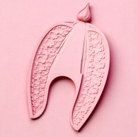 У кого делать лабиопластику: пластический хирург или гинеколог?